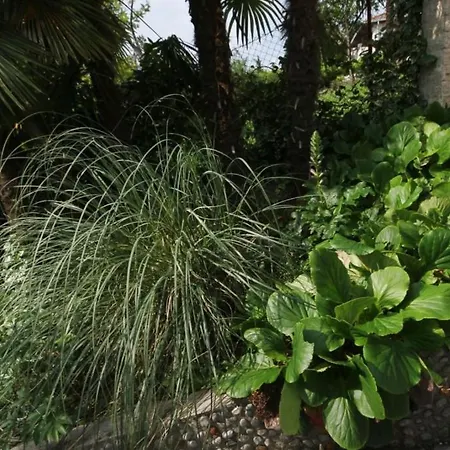 With A Parking Space - 9655 公寓